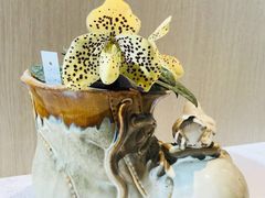-北京植物园-展览温室