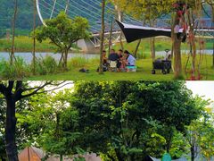 -大屏嶂森林公园