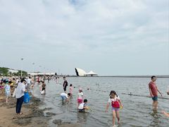 -碧海金沙