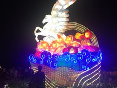 -映月湖公园