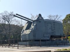 -上海吴淞炮台湾国家湿地公园