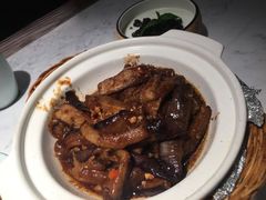 -大榕树下顺德菜(融创茂店)