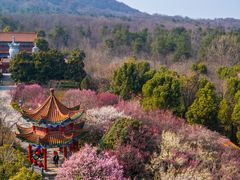 -开福禅寺