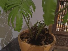 -德迹斋禅意文化茶馆·茶空间·商务洽谈•宴席(桃园店)