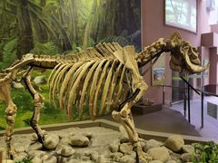 -陕西自然博物馆