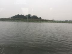 -微山湖红荷湿地景区
