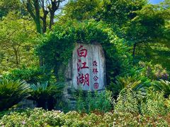 -广州白江湖森林公园