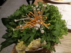 -掂档潮汕牛肉火锅(沈阳万象城店)