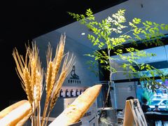-野鸽子咖啡(航空路店)