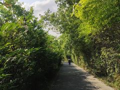 -华侨城湿地公园