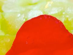 -华府九号海鲜烧烤大排档(龙域店)