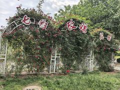 -太阳宫公园