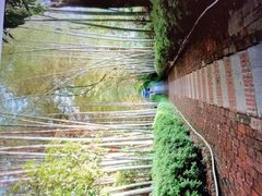 -故乡缘·香格里拉山庄(冷竹路店)