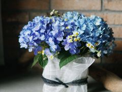 -春庄咖啡SpringHues(钟楼小区店)