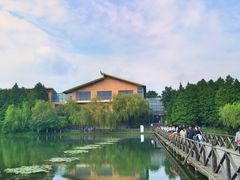 -溱湖国家湿地公园