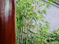 -天一阁博物院
