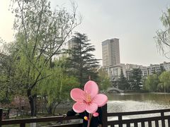 -西安市长乐公园