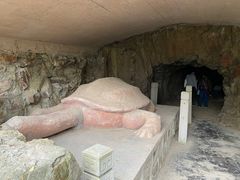 -上海佘山国家森林公园天马山园