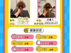 -BABIT巴比特宠物(MOMOPARK店)