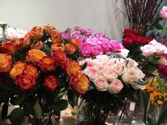 -双季花艺园艺市场(浦东店)