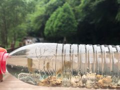 -陕西省红河谷森林公园