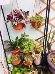 -甲舍美甲美睫艺术馆