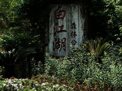 -广州白江湖森林公园