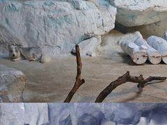 -珠海长隆海洋王国