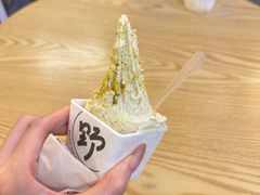 -野人先生Gelato(上海长宁龙之梦店)
