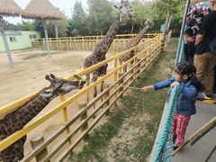 -西霞口神雕山野生动物世界
