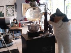 大堂-平行世界·猫咖(首经贸店)