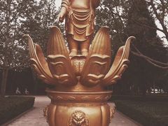 -龙口南山旅游景区