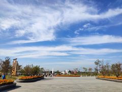 -盐城丹顶鹤湿地生态旅游区