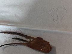 -东北风(柯桥万达店)