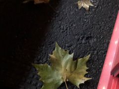 -肖肖酸萝卜鱼火锅(总店)