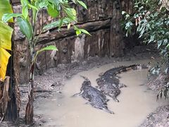 -清迈夜间动物园