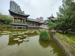 -迎泽公园