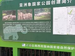 -野象谷景区