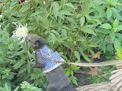 -共青国家森林公园-售票处