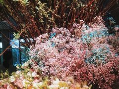 -春暖花开(西溪店)