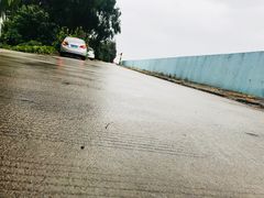 -瀛洲公园