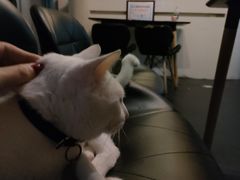 -Doors独立剧情密室(东门分店)