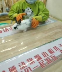 -萌宠家互动乐园