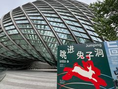 -凤凰中心