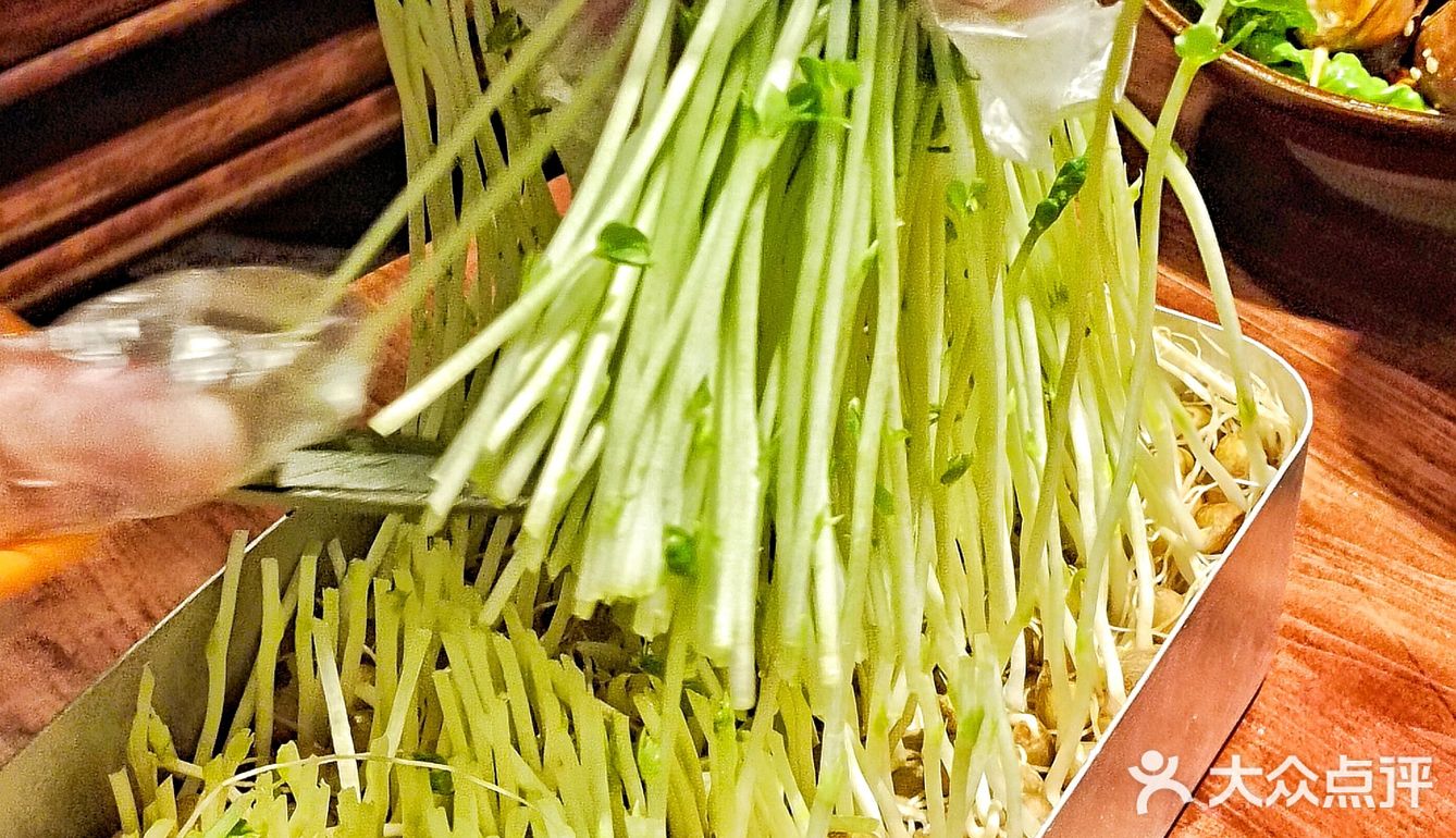  春天来吃现摘豆苗啦🌱长沙地道重庆火锅