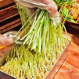  春天来吃现摘豆苗啦🌱长沙地道重庆火锅