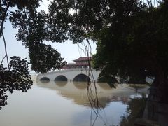 -大湾区中央湿地公园