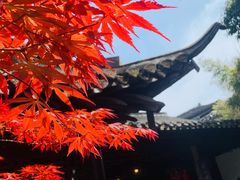 -何园