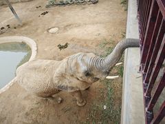 -西霞口神雕山野生动物世界