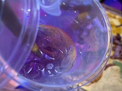 -HELLO MUSAE 拾光缪斯餐厅·纯正希腊风味(苏州中心店)